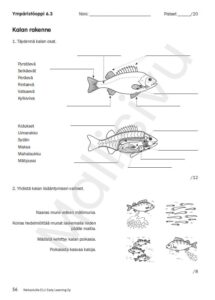 3 340419 kielipoluilla mallisivu ymppa 6.3